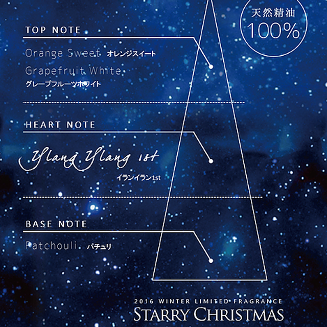 スターリークリスマス