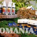 美味しくてカラダに良い！稀少なタスマニア産「ブルーヒルズ レザーウッドハニー」が登場